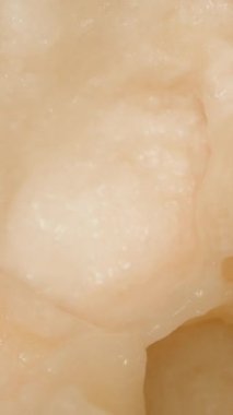 Dikey video. Santol 'un Boş İç Kabuğu Makro Genel Görünümünde Aşağı Düşerken Dönüyor, Kısa Etli ve Çürük Dokusunu Vurguluyor, Hareket Etkisi, Egzotik Meyve Konsepti