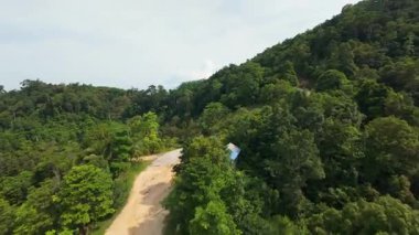 FPV İnsansız Hava Aracı Yoğun Tropikal Orman Üzerinde Yüksek İrtifa Açısı 'ndan Uzakta Dağ ve Okyanusla Açıklık Gelen Çifte Hızla Dalıyor