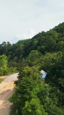 Dikey video. FPV İnsansız Hava Aracı Yoğun Tropikal Orman Üzerinde Yüksek İrtifa Açısı 'ndan Uzakta Dağ ve Okyanusla Açıklık Gelen Çifte Hızla Dalıyor