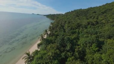 İnsansız hava aracı Tropikal sahilde süzülüyor Palmiye ağaçları ve ormanlarla Parlak Mavi Gökyüzünün altındaki açık okyanus kıyısında