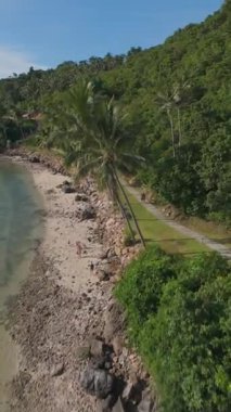 Dikey video. İHA Yoğun Yeşil Tepe Yamacında Yükseliyor Pürüzsüz Mavi Gökyüzünün Altında Çamurlu Ormanla Kaplanmış