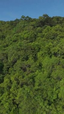 Dikey video. İnsansız Hava Aracı Keskin Dönüşü Yapıyor ve Aşağıya, Denize ve Güneş Işığı Yansımasında Yoğun Yeşil Ağaçlara Dalıyor