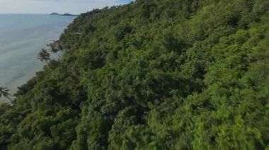 İnsansız Hava Aracı Açık Deniz ve Güneş Işığı Yansıması ile Tropikal Sahil boyunca Palmiye Ağaçlarına Son derece Yakın Uçar