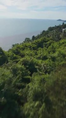 Dikey video. İnsansız hava aracı yoğun yeşil gölgeliklerde hızla dalıyor ve Eğik Hareketli Tropikal Kıyı şeridinin üzerindeki palmiye ağaçlarına yakın uçuyor