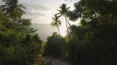 Güneş Işığındaki Kadın, Düşük Açı 'da Onu Arkasından İzleyen İnsansız Hava Arkasında Yoğun Tropikal Bitkilerle çevrili Denize Doğru Yürüyor