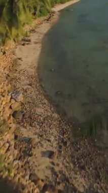Dikey video. İnsansız Hava Aracı Kayalık Kıyısı 'nın yanında Palmiye Ağaçları ve Dengesiz Bulutlu Gökyüzünün Altında Yoğun Yeşil Tepe Üzerinde Hareket Ediyor