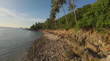 İnsansız Hava Aracı Dar Yol 'un üstünde Uçuyor Akşam Güneşi' nin Sakin Sahil Hattı 'nda Uçan Palmiye ağaçlarının yanında