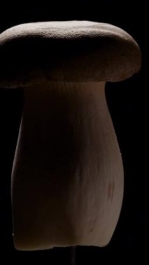 Dikey video. Kral İstiridye Mantarı Düşük Anahtar Işıklandırma ve Sağlıklı Yeme Konseptinde Dramatik Gölgeler ile Karanlıktan Yavaşça Dönüyor ve Çıkıyor