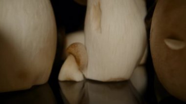 Kamera Uzun Kral Oyster Mantarları Arasında Yansıyan Yüzey Dolly Kaydırağı ve Düşük Perspektif, Gerçeküstü Doğa Konseptinden Yakın Görünüm Kullanıyor