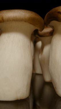 Dikey video. Dolly Kaydırıcısı, Yumuşak Işıklandırma ve Gölge Oynama, Organik Simetri Konsepti ile Yansıtıcı Yüzeyde Dik Duran Kral Oyster Mantarları Sırasına Yakın Çekim Taşıdı