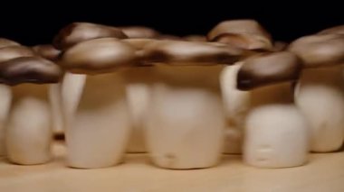 Kral İstiridye Mantarları Kusursuz Dönüşümlü Tahta Yüzeyde Dönüyor Dinamik Çerçeve, Gerçeküstü Gıda Konsepti ile Hareket Bulanıklığı Efekti Oluşturuyor