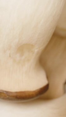 Dikey video. Yakın Çekim Dolly Zoom Dönen Kral İstiridye Mantarları Yumuşak Aydınlatma ve Mezuniyet Yüksekliği ile Sıkıca Sıkıştırılmış Ahşap Yüzey, Mutfak İçindekiler Konsepti