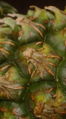 Dikey video. Pineapple Cildinin Macro Yakın Çekimi ve Dolly Zoom Efekti Kaba desenli yüzeyde ve Stüdyo Işığında Yeşil Taç, Tropikal Meyve Detayları Konsepti