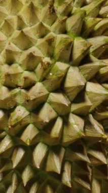 Dikey video. Şiddetli Yakın Çekim Durian Dönen Diken Dokusunu Gösterme ve Sarı Yeşil Yüzey Düz Döngü Dramatik Işıklandırma, Egzotik Üretim Kavramı