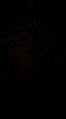 Dikey video. Merkezli Açı, Egzotik Tropikal Meyve Konsepti 'nden Dikenli Doku Üzerine Vurgu Yaparak Yavaşça Dönüyor