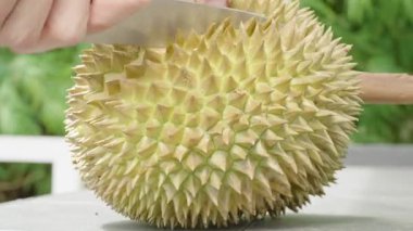 Dikenli Durian ve Dilimleme Kabuğu Açık Masa 'dan Açık Masaya Bıçakla, Tropikal Meyve Hazırlama Konsepti