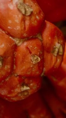 Dikey video. Turuncu Pandanus Meyvesi, Dolly Kaydırma Hareketiyle Siyah Arkaplana Karşı Yakından Çekildi, Parlak Doku ve Parlak Yüzey Vurgulandı, Stüdyo İzole, Tropikal Ayrıntı Konsepti