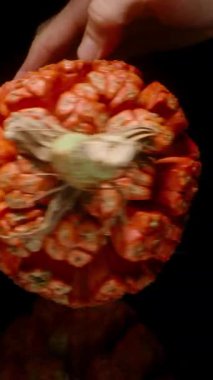 Dikey video. Elle Dönen Turuncu Pandanus Meyvesi Siyah Cam Masada Nazikçe Yansımaları Görünür, Stüdyo Işıklandırması Vurgulayıcı Doku ve Şekil, Etkileşimli Tropikal Üretim Konsepti