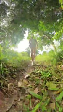 Dikey video. Parlak Gün Işığında Yeşil Orman Yolu 'nda Tepeye Yürüyen Kadın Fisheye Lens Efekti ile Düşük Açı' dan Yapraklar ve Güneş Işığı Altında Yakalandı.