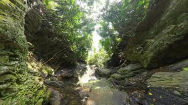 Dar Orman Kanyonundaki Küçük Şelale Kayalıkları Üzerinden Akıyor 360 Derece Kamera Dönüşü Yakalayarak Vahşi Tropikal Akımı Keşif Konseptini Sunuyor