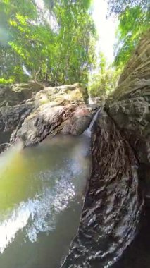 Dikey video. Su damlaları, Eroded Rock Formasyonları Arasında Küçük Orman Havuzu 'na akıyor Doğal Tropikal Su Toplama Konseptini temsil eden Orta Açı' da Yakalandı