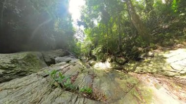 Dik Kaya Kanalı Yoğun Ormandaki Yapraklar ve Her İki Tarafta Ağaçlarla kaplı Uzak Tropikal Arazi Keşiflerini Temsil Eden Geniş Açı Açı
