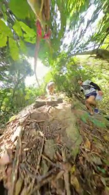 Dikey video. Çevresi Ağaçlar ve Köklerle çevrili Toprak Yol 'da Yürüyen İki Kişi 360 Derece Kamera Görüntüsü Bir Orman Macerası Konseptini Temsil Ediyor
