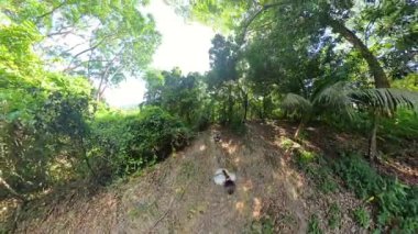 Ağaçların Altında Sandy Tepesi 'ne tırmanırken Erkek ve Kadın Eğiliyor Küresel Panorama' da Yakalandı Yorucu Orman Yükselişi 'nin Son Esnemesini Sunuyor