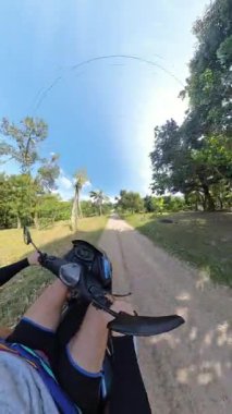Dikey video. Scooter 'ın Sunny Orchard' da Ağaç Kenarlı Yol 'da Sürüşünün İlk Görüntüsü Tropikal Motor Seyahat Konseptini Sunar