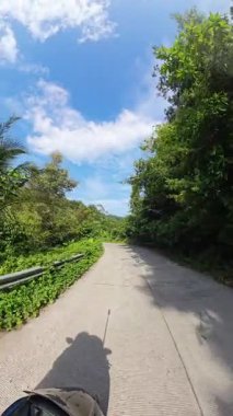 Dikey video. Yoğun Yeşil Orman Altında Boş Beton Yol Eğrisi Parlak Mavi Gökyüzü Altında Geniş Açı Açı Temsilcisi Tropikal Yol Gezisi