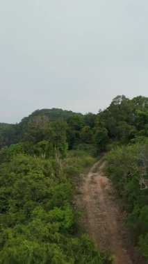 Dikey video. Dar Toprak Yolu Yoğun Tropikal Ormana Gidiyor. Çevresi Yeşil Tepelerle çevrili. Havadan Bakış Gözlemleme Yaban Hayatı Keşfi Konseptinden Yakalandı.