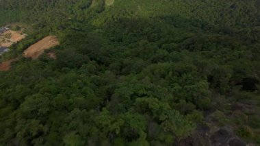 Dağ Zirvesinden Keskin Dalış Yoğun Yeşil Orman tepe örtüsü üzerinde Alçaktan Uçuyor Hava Perspektifi Temsilcisi Uçuk Hava Düşüşü Konseptinden Hareket Bulanıklığında Yakalandı