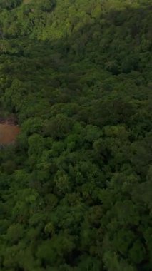Dikey video. İnsansız Hava Aracı Orman tepe örtüsünden aşağı dalıyor, sonra hızla Yeşil Dağ 'ın tepesine tırmanıyor ve Dinamik Hava Açısı Macera Uçuşu Konseptinden manzarayı gözler önüne seriyor.