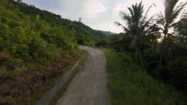 Dik Beton Yolu 'nun İnsansız Hava Aracı Parlak Gün Işığında Her İki Tarafındaki Uzun Palmiyeler ile Ormanla Kaplanmış Tepeye Yükseliyor