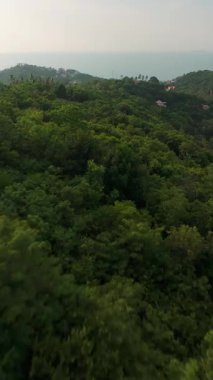 Dikey video. Düz Yol Bölümü Yoğun Yeşil Ağaçlar ve Uzun Palmiyeler Kısmen Bulutlu Gök Altında Dağlık Orman