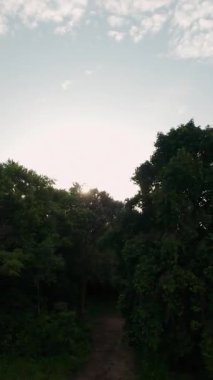 Dikey video. Tropikal Dağ Manzarası Palmiye Ağaçları, Yoğun Orman, Okyanus ve Güneş 'in Parlayan Parıltısı ile Günbatımında Geniş Hava Panoraması