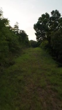 Dikey video. Hızlı FPV İnsansız Hava Aracı, Pürüzsüz Grassy Tepesi 'nden Dar Dağ Yolu' na iniyor. Park edilmiş motosiklet ve ağaçlar görüş alanında.