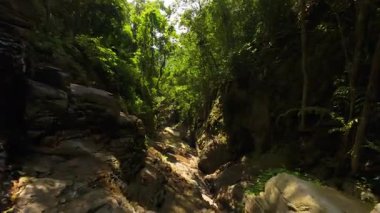 Dik kayalık yol dar orman geçidinde rüzgarlar esiyor taşın üzerinden akan su, orta yükseklikten çekilmiş ve bir orman yürüyüşü ve doğa kaçış temasını resmediyor.