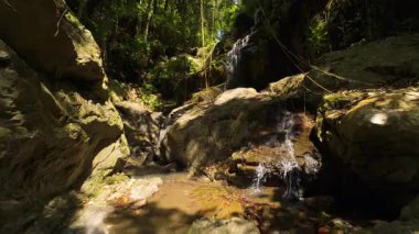 Su yosun kaplı kayalıklardan orman havzasına dökülür, yukarısı parlak güneş ışığıyla kaplıdır, tropik bir orman sükuneti ve şelale kaçışı temasını ifade etmek için alçak açıyla yakalanır.