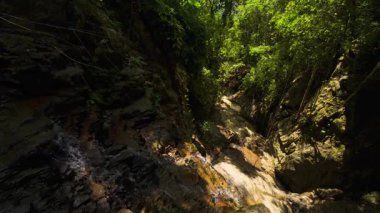 Dar orman vadisinden çağlayan sarp şelaleler, akarsu ve parlak yapraklarla dolu, yüksek gökyüzünden çekilen orman arazisi ve maceracı doğa patikalarının altını çizmek için.