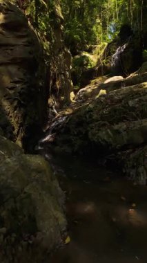 Dikey video. İnsansız hava aracı, derin orman kanyonunda, dar kayalık şelale boyunca yukarı doğru uçar. Güneş ışığında parlayan su, tropikal keşifleri ve dikey doğa izlerini göstermek için alçak açılardan yakalanır.