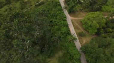 İnsansız hava aracı ağaçların tepelerinde ani dönüşler yapar. Yüksek hızda yörüngeden uçarak yemyeşil vadiyi, tepedeki evleri ve uzak ormanı ortaya çıkarır.