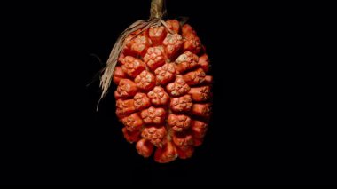 Büyük Turuncu Pandanus Meyvesi Siyah Arkaplan 'a Karşı Yavaşça Dönüyor, Hafif Aşağı Doğru Açıyla Çekiliyor, Detay ve Dokuya Vurgu Yapıyor, Döngü Animasyonu, Egzotik Meyve Konsepti