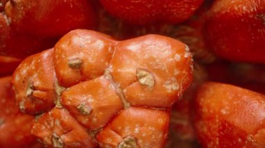 Turuncu Pandanus Meyve Segmentleri Detaylı Yüzey Dokusu ve Fibröz Çekirdek Görünümü ile Makro Görünümünde Dönüyor, Karanlık Arkaplan Karşısında Yakalandı, Tropikal Organik Konsept