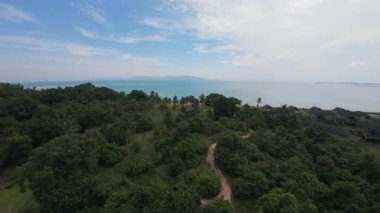 Kıyı Ormanları Yüksek İrtifa ve Tropikal Sahil Konseptinden Mavi Deniz ve Açık Gök Altındaki Uzak Adalara uzanan Kum Patikası ve Palmiye Ağaçları