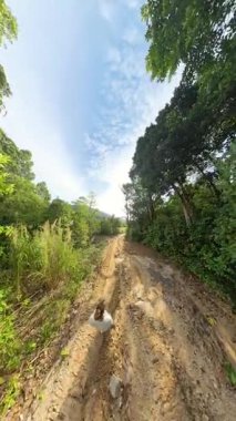 Dikey video. Parlak Güneş Işığıyla Rocky Ormanında Yürüyüş yapan Kadın Yolu ve Ağaçları Geniş Açı Görüş Alanı