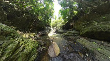 Küçük Orman Şelalesi Yoğun Ağaç Tepesi Altında Süzülen Kayalar Düşük Açı Açısı 'ndan Yakalandı Vahşi Doğal Sükunet Konseptini Sunuyor