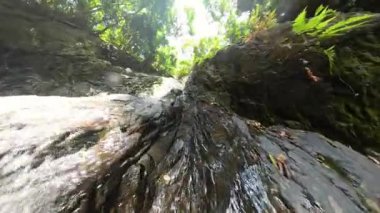 Karanlık Kaya Surat 'ın Üzerine Suyun Yakın Çekimi Orman Işığında Düşük Açı' dan Su Damlacıklarıyla Vahşi Tropikal Akıntı Detaylarını Temsil Ediyor