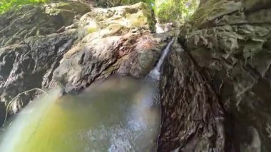 Su damlaları, Eroded Rock Formasyonları Arasında Küçük Orman Havuzu 'na akıyor Doğal Tropikal Su Toplama Konseptini temsil eden Orta Açı' da Yakalandı