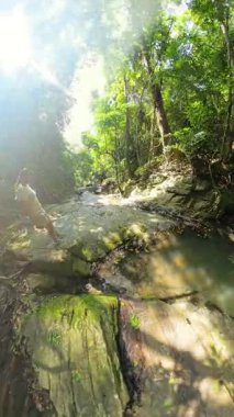 Dikey video. Orman Macerası ve Keşif Konseptini temsil eden Düşük Açı 'dan Yakalanmış Ağaçlarla çevrili Sığ Su Akıntısı' nda Yukarda Yürüyen Kadın Kayalıkları